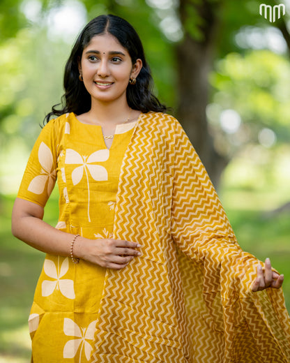 Meera_V4 Maternity Kurti Set