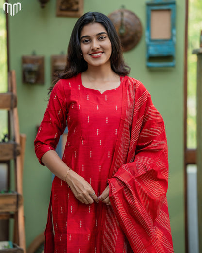 Tharagai_V2 Maternity Kurti Set