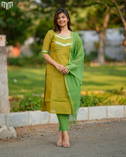 Narumugai_V1 Maternity Kurti