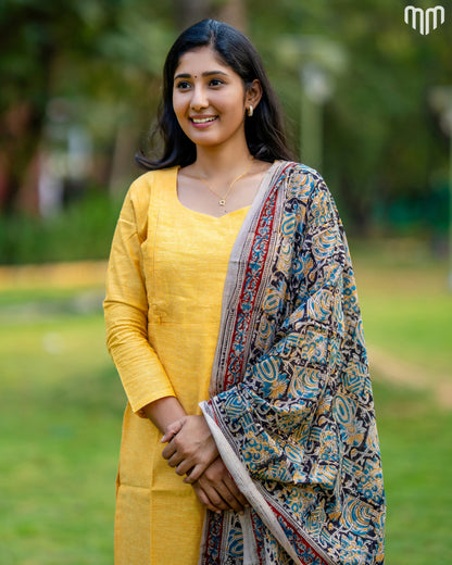 Yuva_V2 Maternity Kurti Set