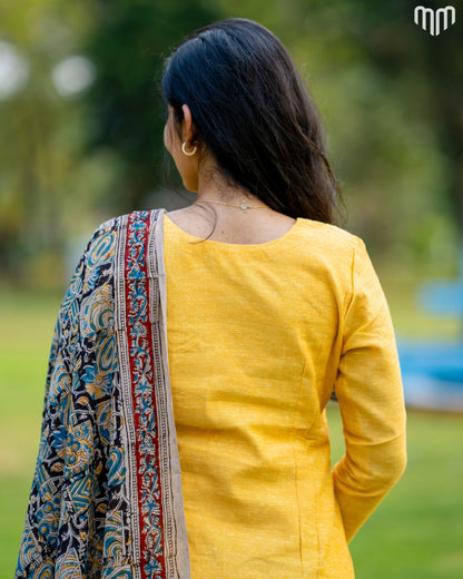 Yuva_V2 Maternity Kurti Set