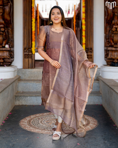 Manya Maternity Kurti Set - Top with Cotton Lining &amp; Dupatta