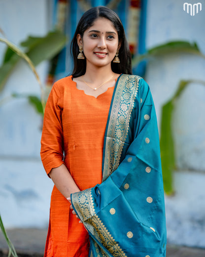 Perarasi_V4 Maternity Kurti Set